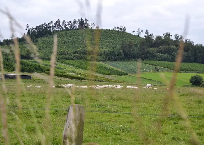 Zum Windfeld Meschede