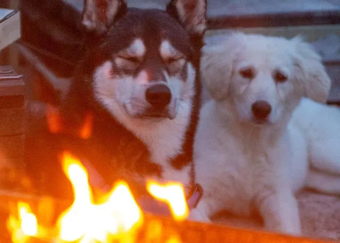 Zum Windfeld Apartman Meschede